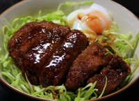 20090519_saucekatsudon1